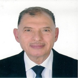  Amin Gohary